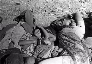 印度毒气爆料视频,揭露真相的震撼视频曝光